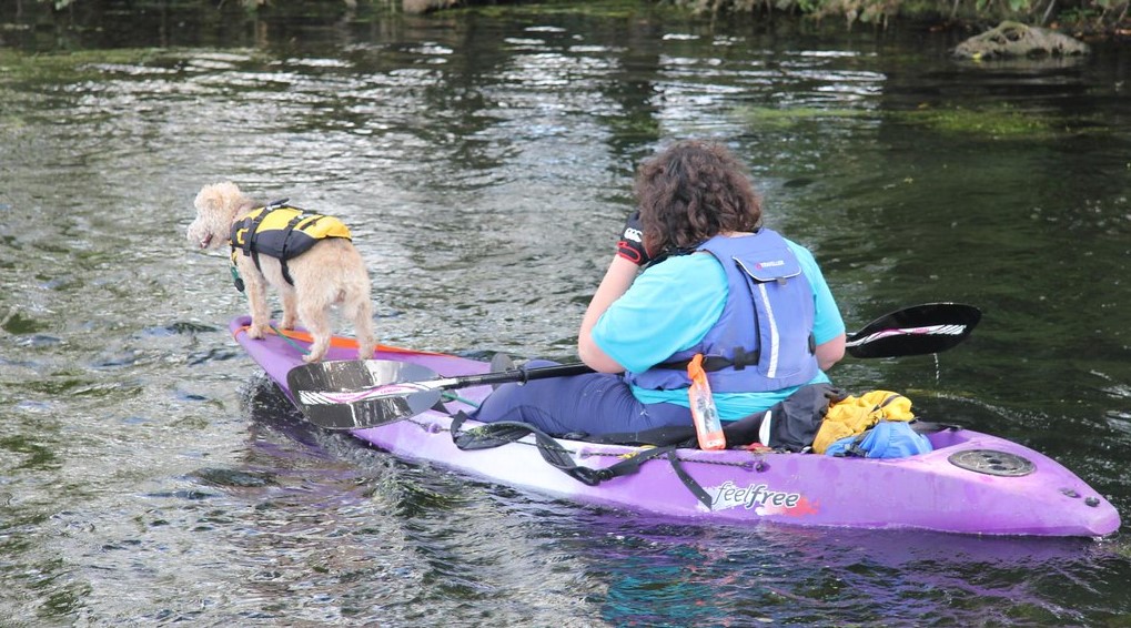 Accessori per Canoe e Kayak